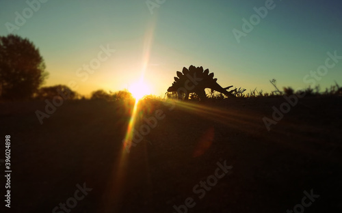 Φωτογραφία Stunning silhouette at sunset of the Stegosaurus dinosaur,  is a genus of herbivorous thyreophoran dinosaur