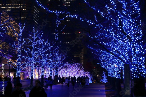横浜のイルミネーション
