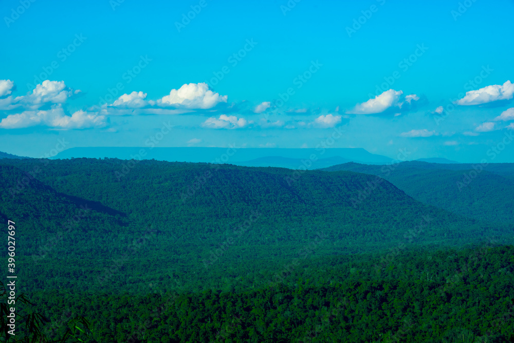 View of forest on hill and blue sky background