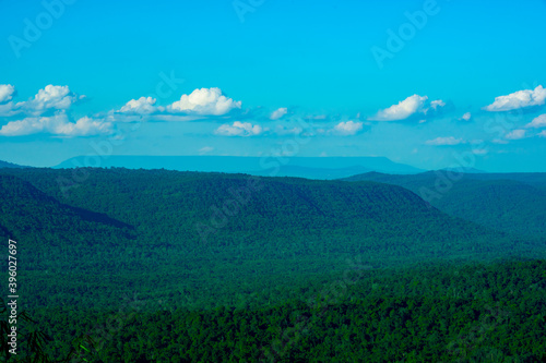 View of forest on hill and blue sky background