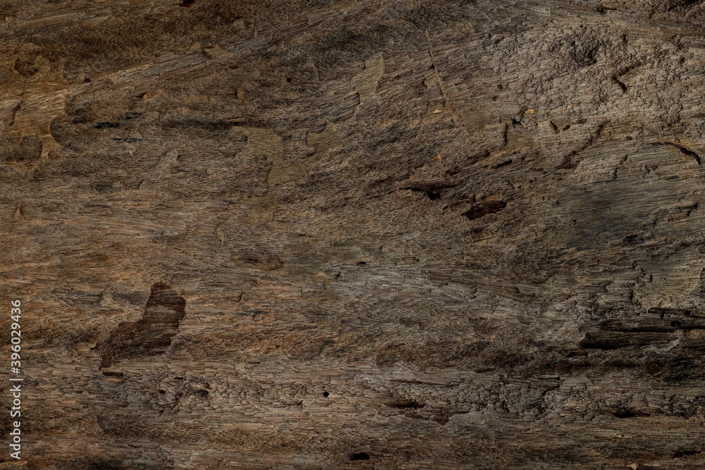 Fototapeta premium Rough and old dark brown wood texture background.