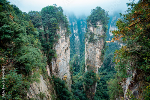 Amazing landscape of mountain and forest in the foggy at Wulingyuan  Hunan  China. Wulingyuan Scenic and Historic Interest Area which was designated a UNESCO World Heritage Site in China