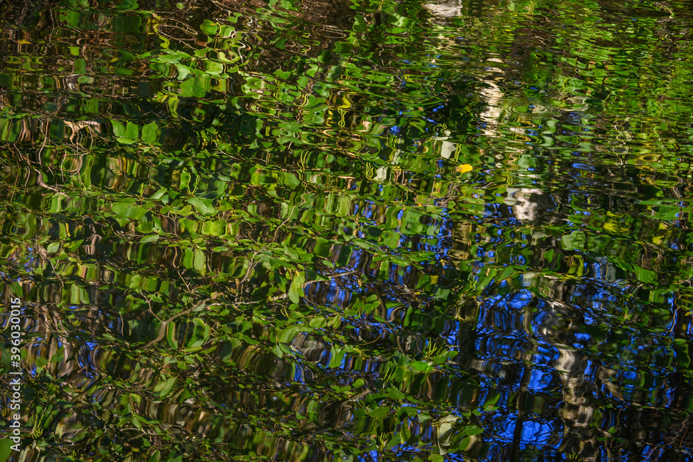 Abstract nature background of foliage reflecting on a rippling pond
Abstract nature background of foliage reflecting on a rippling pond
