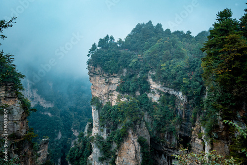 Amazing landscape of mountain and forest in the foggy at Wulingyuan  Hunan  China. Wulingyuan Scenic and Historic Interest Area which was designated a UNESCO World Heritage Site in China