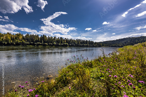 Siberian landscape on the Biya river. Turochak, Altai, Russia photo