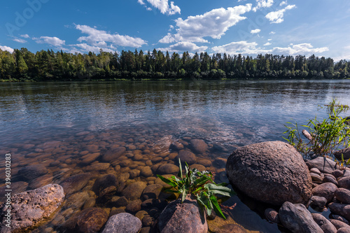 Siberian landscape on the Biya river. Turochak, Altai, Russia photo