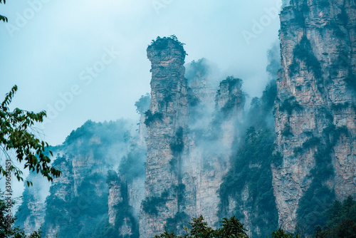 Fototapeta Naklejka Na Ścianę i Meble -  Amazing landscape of mountain and forest in the foggy at Wulingyuan, Hunan, China. Wulingyuan Scenic and Historic Interest Area which was designated a UNESCO World Heritage Site in China