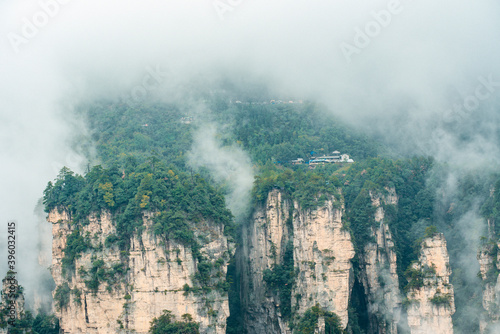 Mountains and forests shimmering in the mist at Wulingyuan   Zhangjiajie national park  Hunan Province  China