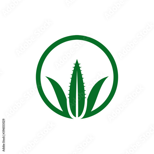 Aloe vera plant logo design template
