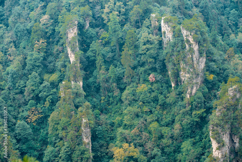 Valokuvatapetti Mountains and forests shimmering in the mist at Wulingyuan , Zhangjiajie nationa