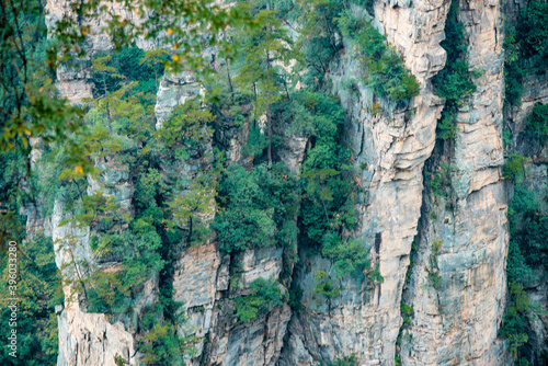 the mountain and forest in foggy at at Wulingyuan. Wulingyuan Scenic and Historic Interest Area which was designated a UNESCO World Heritage Site as well as an AAA scenic area in china.