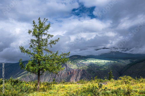 Mountain landscape. Ulagansky district, Altai Republic, Russia photo