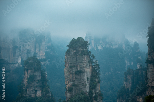 the mountain and forest in foggy at at Wulingyuan. Wulingyuan Scenic and Historic Interest Area which was designated a UNESCO World Heritage Site as well as an AAA scenic area in china. © Nhan