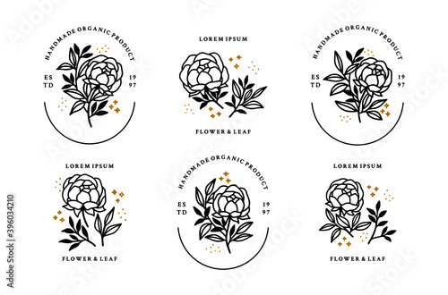Set of hand drawn minimalistic rose flower, peony, and leaf vector logo elements, icon, and illustration for feminine brand or beauty product