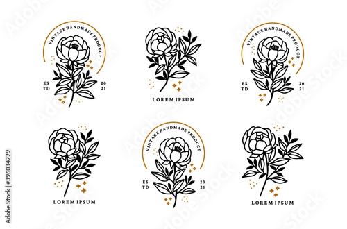 Set of hand drawn minimalistic rose flower, peony, and leaf vector logo elements, icon, and illustration for feminine brand or beauty product