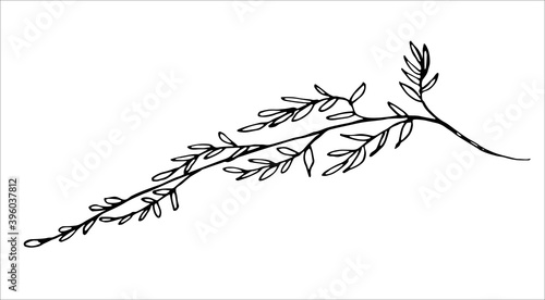 Vector isolated element. Illustration with flower, herbal