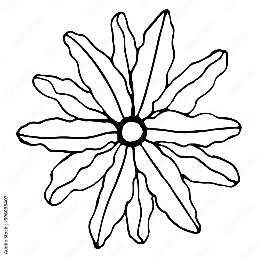 Vector isolated element. Illustration with flower, herbal
