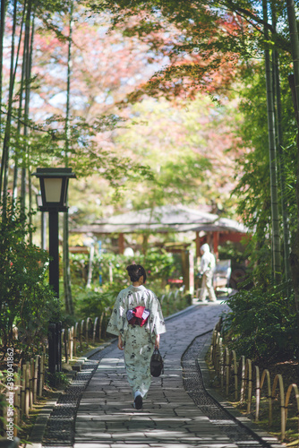 着物, 竹林, 伊豆の小京都「修善寺」, bamboo forest, shuzenji, izu peninsula, japan