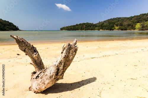 Driftwood on the whote sand beach at Layan, Bang Tao Bay, Phuket, Thaiand photo