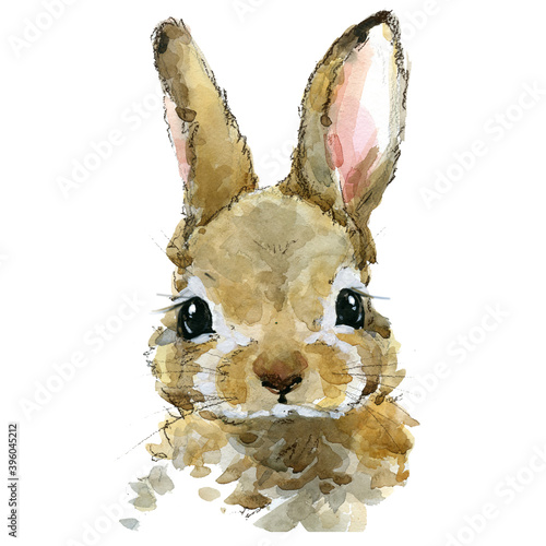 Cute rabbit watercolor illustration. baby animals series photo