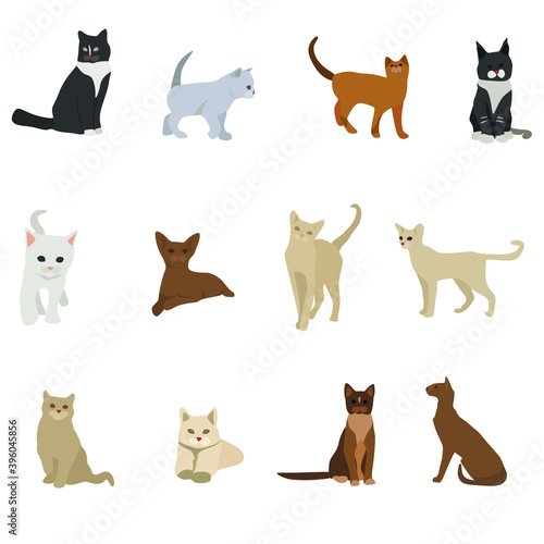 Cat clip art set-hand drawn cat breeds-digital SVG vector-cute animals Pets-business clip art collection-kitten-stickers-living room clipart