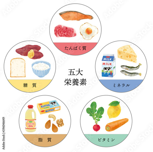 五大栄養素のおしゃれなベクターイラスト　人物なし