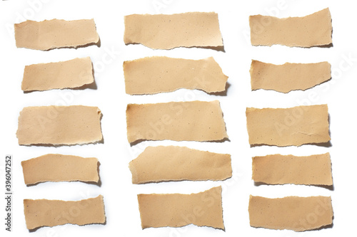 collection real brown paper torn or ripped pieces of paper in white background
