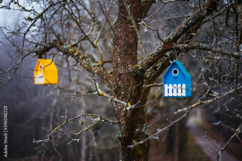 Bunte Vogelhäuser