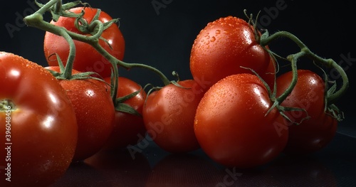 Organic or natural farmig methods. Ripe Tomatoes on a branch close-up. Red glossy tomatoes. photo