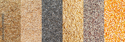 Collection of natural cereal and grain seeds stripe,, for healty food or agricultural product concept