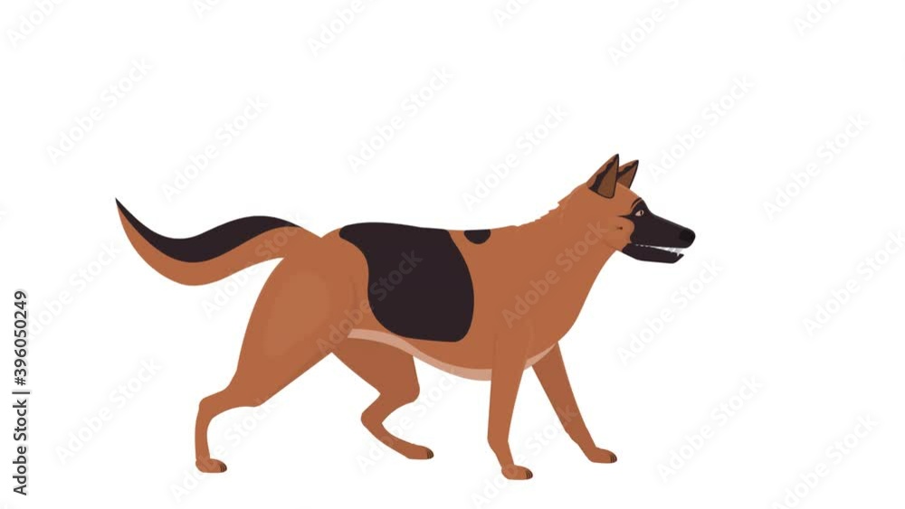 German shepherd. Animation barking guard dog, the alpha channel is enabled. Cartoon German shepherd. Animation barking guard dog, the alpha channel is enabled. Cartoon