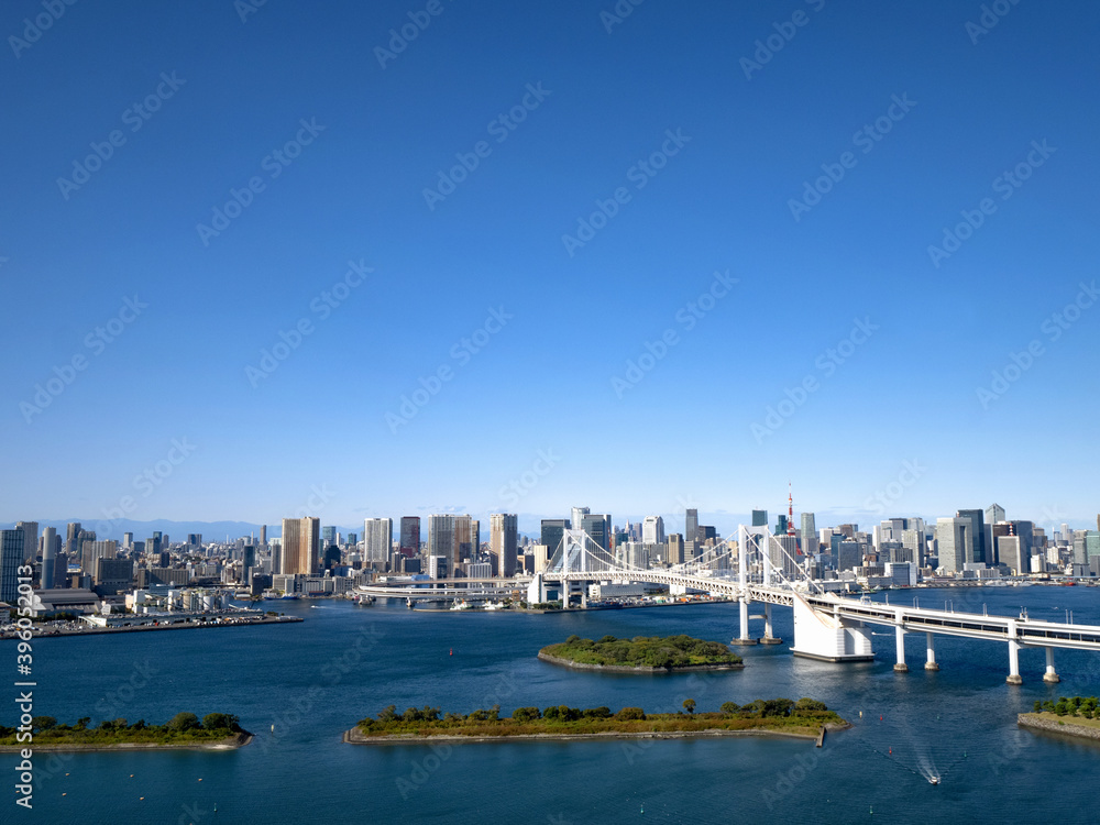 Fototapeta premium レインボーブリッジと東京港