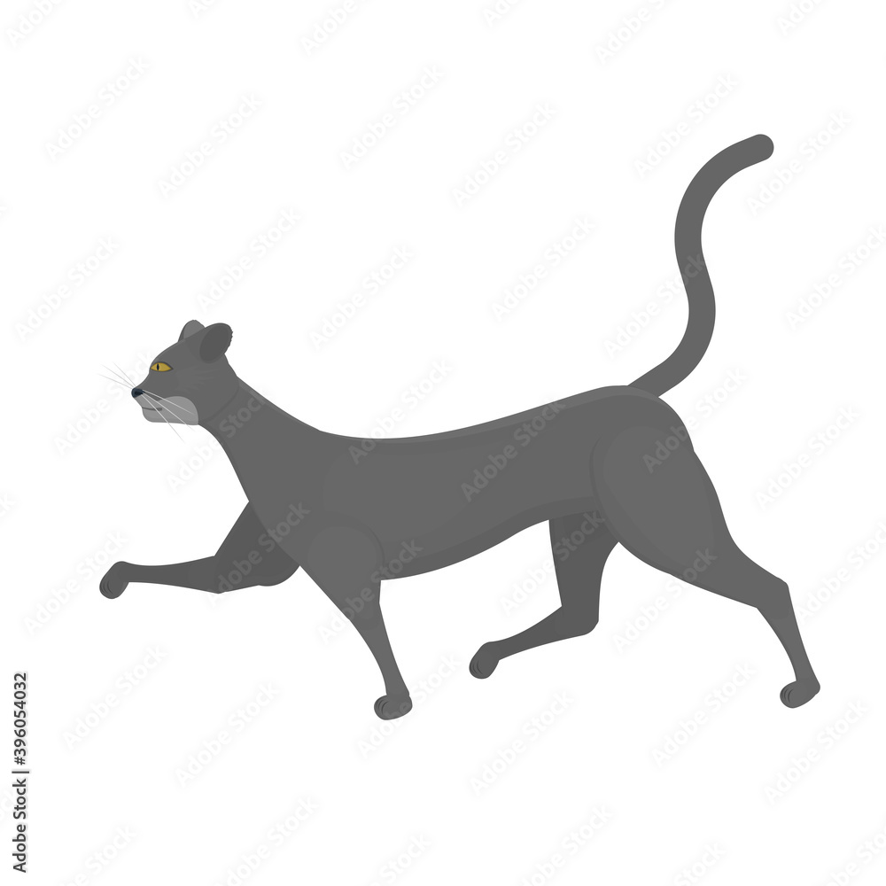 Cat. Walking cat, vector illustration