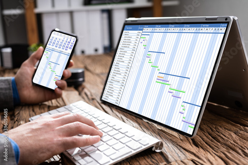 Gantt Chart And Time Sheet Scheduling Report