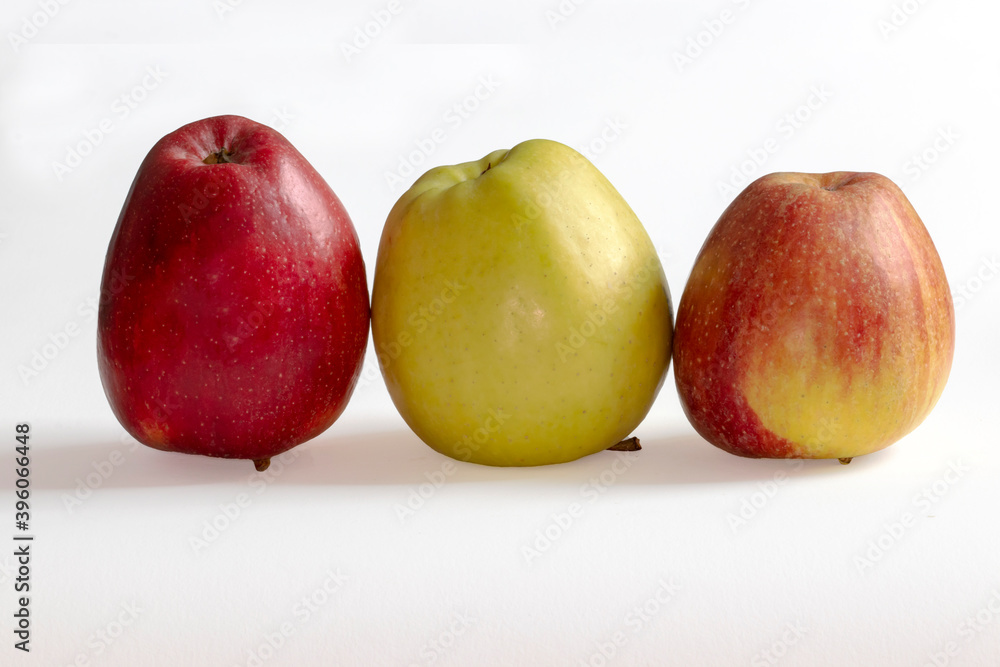 Pommes bicolores, vetre et rouge en ligne sur fond blanc Pommes bicolores, vetre et rouge en ligne sur fond blanc