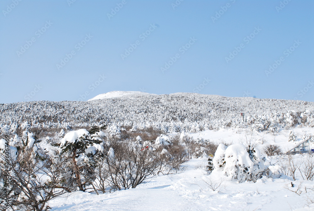 The beautiful Jeju Hallasan snow scene in Korea The beautiful Jeju Hallasan snow scene in Korea