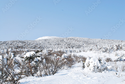 Wallpaper Mural The beautiful Jeju Hallasan snow scene in Korea Torontodigital.ca