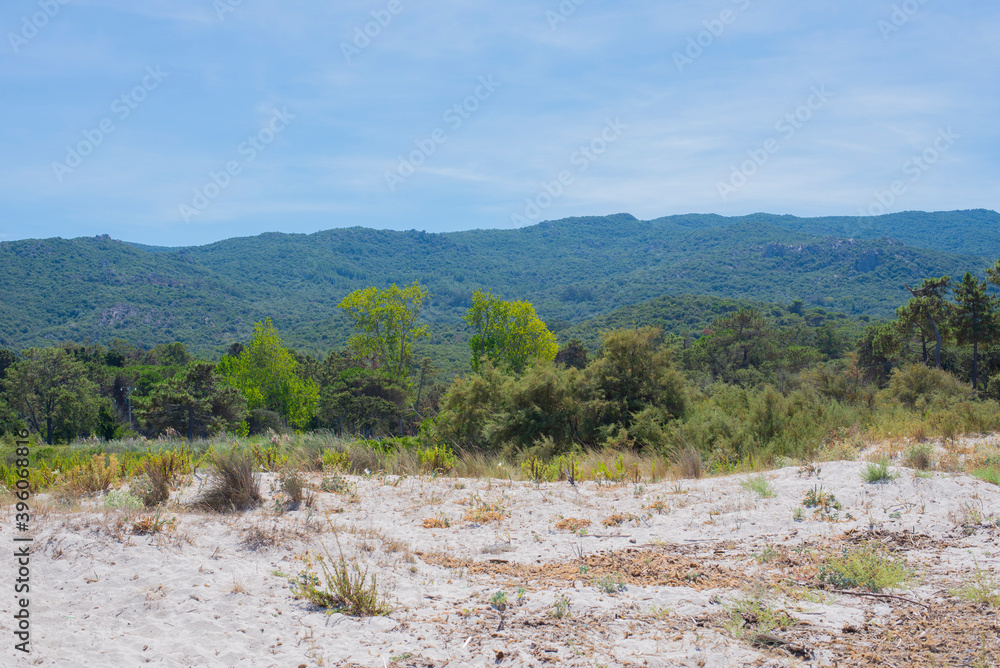 walk trek on foot in the wild mountains for a walk in France or Corsica walk trek on foot in the wild mountains for a walk in France or Corsica