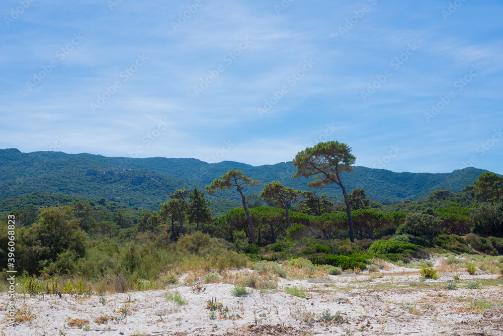 walk trek on foot in the wild mountains for a walk in France or Corsica