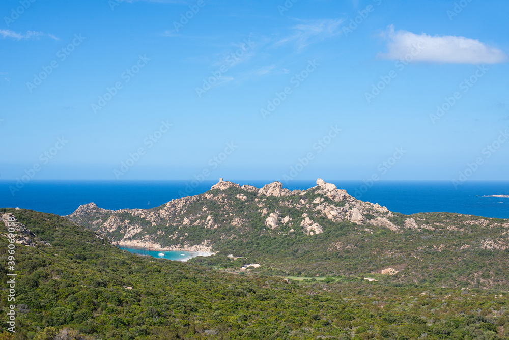 Fototapeta premium Corsican mountain desert countryside full of vegetation tree next to the sea