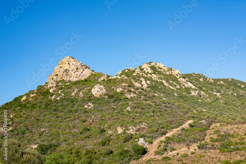 Corsican mountain desert countryside full of vegetation tree next to the sea