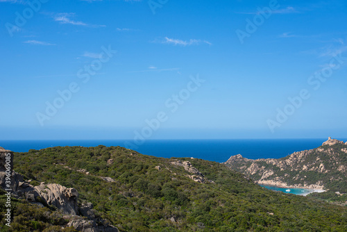 Corsican mountain desert countryside full of vegetation tree next to the sea