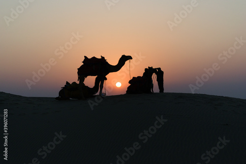 Silhouette of camels in the desert with owners