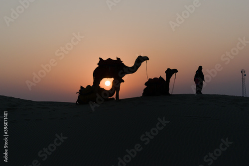 Silhouette of camels in the desert with owners