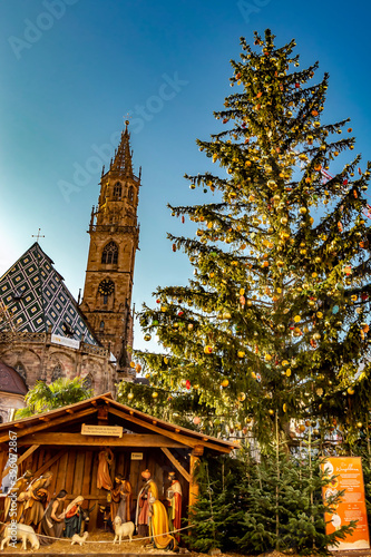 The Tree and the Church - Bolzano 