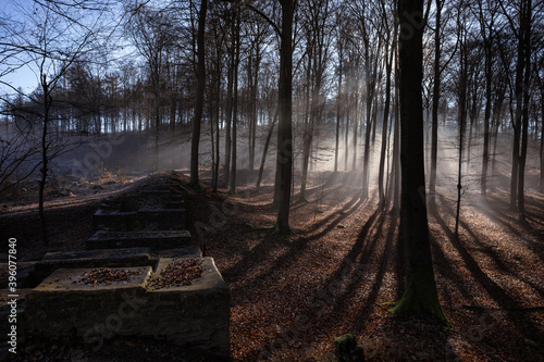 Römerkastell Holzhausen an der Haide im November photo