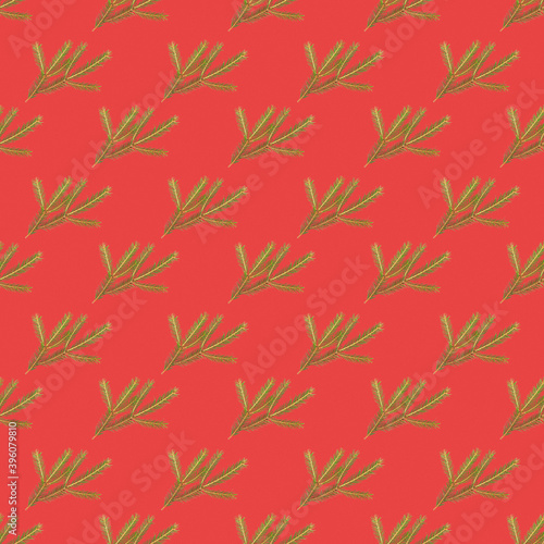 Green spruce branch with short needles - seamless pattern, ornament. Christmas tree, decoration. New year, Christmas. Evergreen coniferous tree, common spruce, wrapping paper