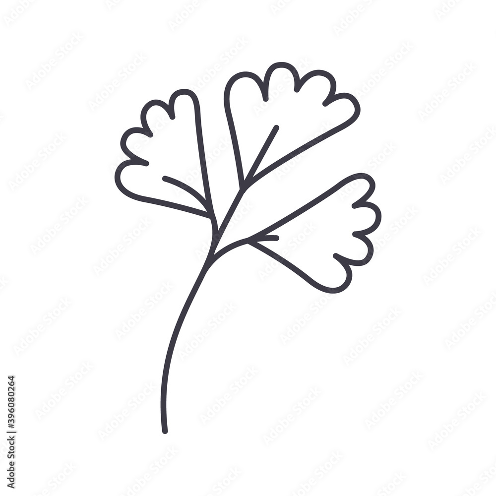 Ginkgo icon, linear isolated illustration, thin line vector, web design sign, outline concept symbol with editable stroke on white background.