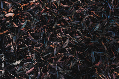 Background of dry leaves in the evening