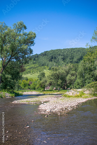 forest mountains and river, mountain landscape